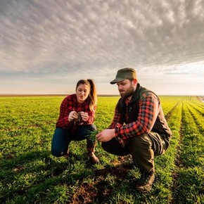 A su manera: los jóvenes toman la posta y dicen presente en Expoagro