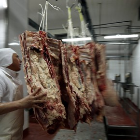 Realizaron la primera exportación área de carne vacuna desde Rosario