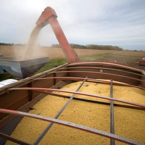 Una innovadora plataforma digital, que trae importantes soluciones para el campo