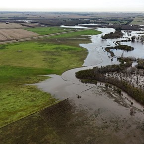 El modelo brasilero para una innovación agrícola sustentable