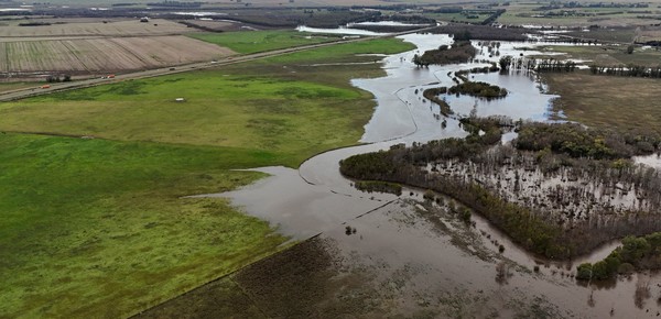 El modelo brasilero para una innovación agrícola sustentable