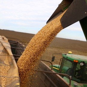"Ecuación desequilibrada": producir granos en Argentina es más caro que en los países competidores