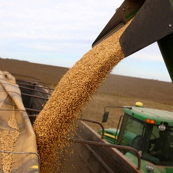 "Ecuación desequilibrada": producir granos en Argentina es más caro que en los países competidores