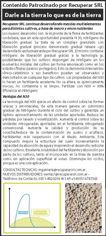 Solicitada 8
